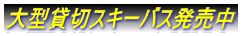 大型貸切スキーバス発売中