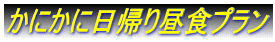 ���ɂ��ɓ��A�蒋�H�v����
